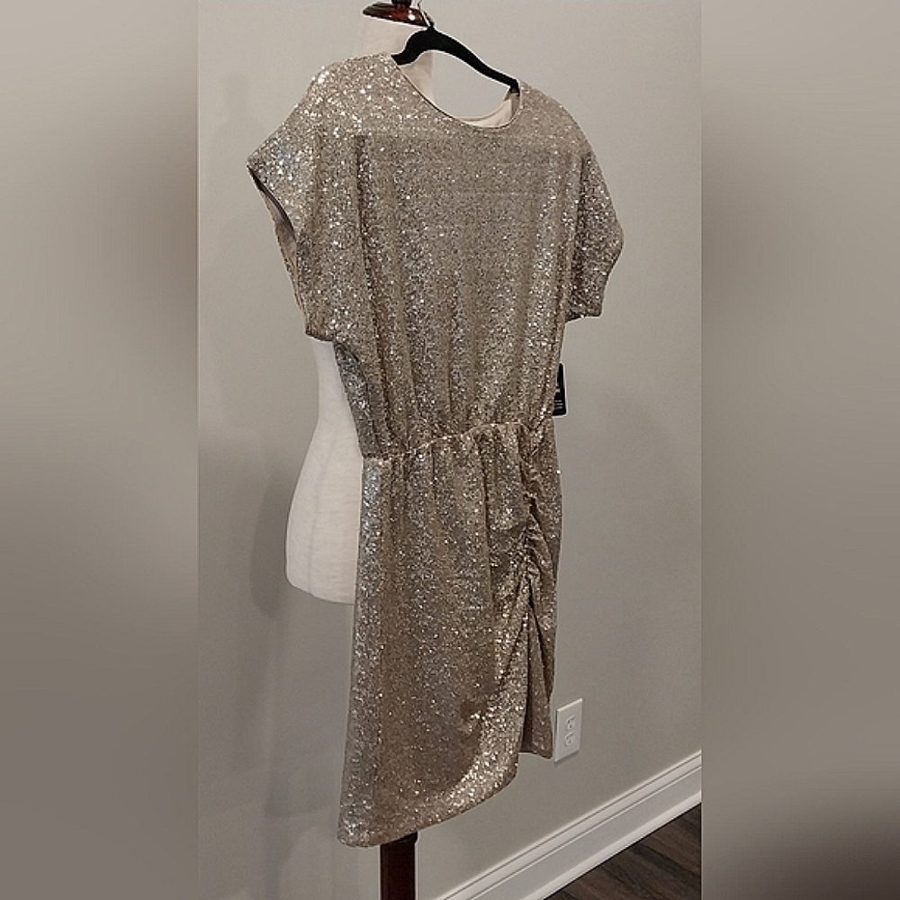 NWT Express Champagne Short Sleeve Sequined Ruched Mini Dress Size Small - Picture 5 of 16
